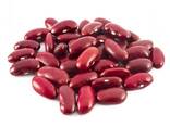 100% Dark Red Kidney Beans New Crop Red Kidney Beans Price - фото 3