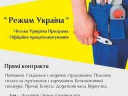 2-х летняя рабочая карта в Чехию