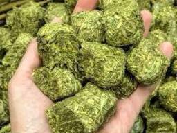 Alfalfa cubes