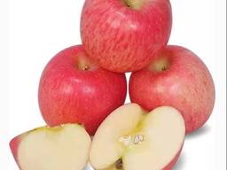 Apples, Fuji and Gala apples