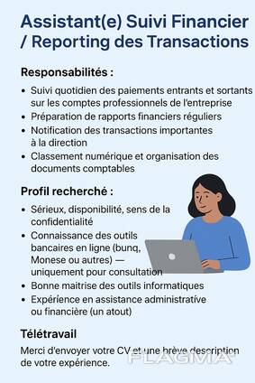 Asistent finančního monitorování/reportování transakcí