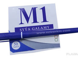 Ballpoint pen