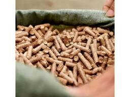 Biomass pellet wood pellets
