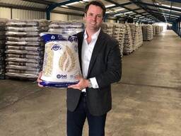 Cheap Price Wood Pellet