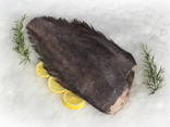 Чёрный палтус / Greenland Halibut