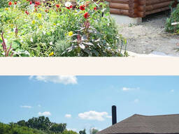 Domy z dřevěných trámů