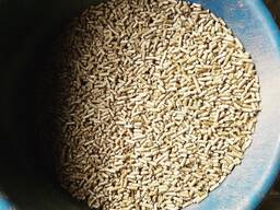 Enplus A1 Pine Wood Pellet Fuel 6-8mm