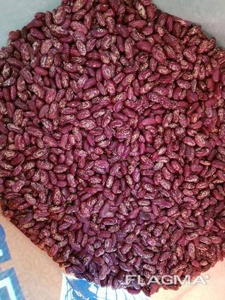 Фасоль на экспорт/ Beans for Export