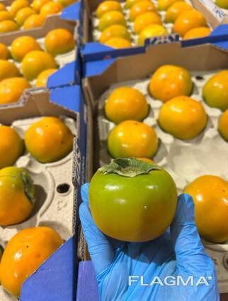 Фрукты из Испании