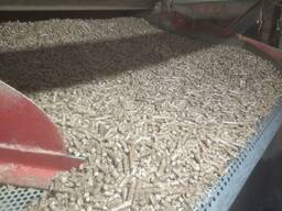 Granulované nemelasované cukrovarské řízky