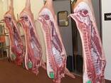 High-Quality Frozen Pork Feet Front and Hind - фото 1