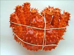 High Quality Live Red King Crabs Soft Shell Mud Crab Varieties Fresh/Frozen/Live for Sale