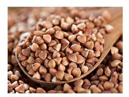 High Quality Natural Organic Buckwheat/Roasted Buckwheat Kernel for sale