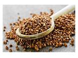 High Quality Natural Organic Buckwheat/Roasted Buckwheat Kernel for sale - фото 2