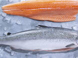 High quality wholesale seafood fresh Salmon fish, Factory Price Frozen Salmon Fish Fillets - фото 2