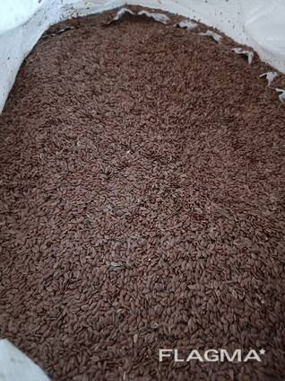 Лен коричневый, урожай 2025 года