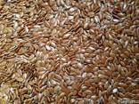 Лен масличный от 2000 тонн - фото 3