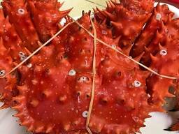 Live Red King Crab | Fresh And Frozen King Crab| Frozen Blue Swimming Crabs for sale