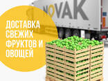 Международные автомобильные грузоперевозки Беларусь - Европа - Беларусь - фото 2