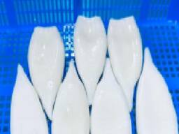 Мороженная рыба и морепродукты в Чехию от завода из КНР