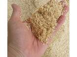 New Arrived Natural Bulk Pine Wood Sawdust For Hamster Bedding - photo 2
