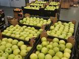 Offers apples from Poland / Продам яблоки из Польши