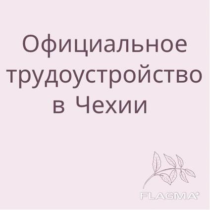 Официальное трудоустройство в Чехии — Оказание услуги в Праге, Flagma.cz #1764077