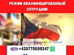 Оформление 2 годовых виз в Чехию через Режим Квалифицированный сотрудник
