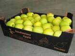Package and packing of apple - boxes, corrugated boxes - photo 4