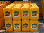 Пальмовое масло - фото 1