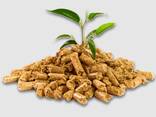 Pine wood pellets, best origin ena1 - photo 2