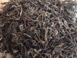 Prémiové sušené mořské koníky na prodej