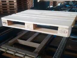 Premium Wooden Pallets & Timber Components – Direct from European Supplier