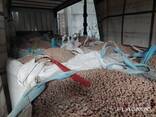 Sale of wheat bran pellets 6,8,10mm - photo 2