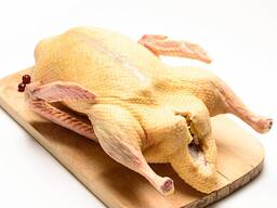 Prodám domácí maso