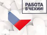 Рабочая виза в Чехию на 3 месяца без привязки к работе - фото 1