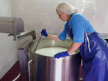 Sýrové mléčné výrobky 200 litrů - фото 7
