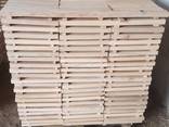 Sell boards Ash (Fraxinus) - photo 4