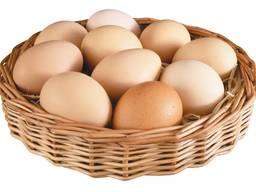 Slepičí vejce C1 velkoobchod - Яйцо куриное C1 оптом