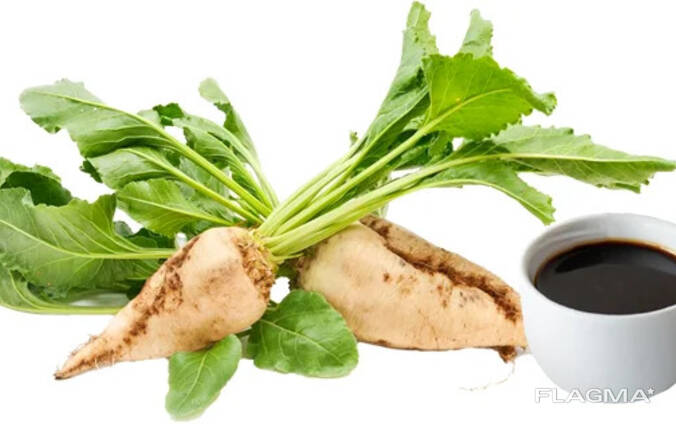 Melasa z cukrové řepy