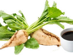 Melasa z cukrové řepy