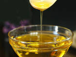 Sunflower oil for sale - фото 3