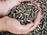 Sunflower husk pellets - фото 2