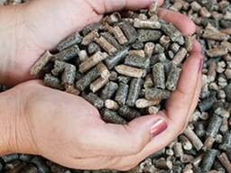 Palivové pelety 8,0 mm (slunečnicové slupky)