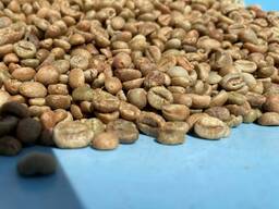 Špičková kávová zrna odrůdy Arabica – zelená kávová zrna zpracovaná mokrou metodou