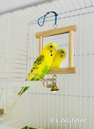 Klec pro papoušky Wavy