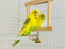 Klec pro papoušky Wavy