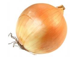 We sell onion .