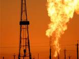 We will buy natural gas to Ukraine - photo 1