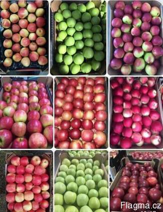 Яблука оптом Apples in bulk Ukraine LLC Mitlife